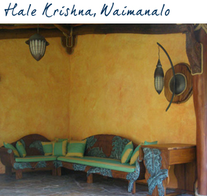 Design REsource Hawaii